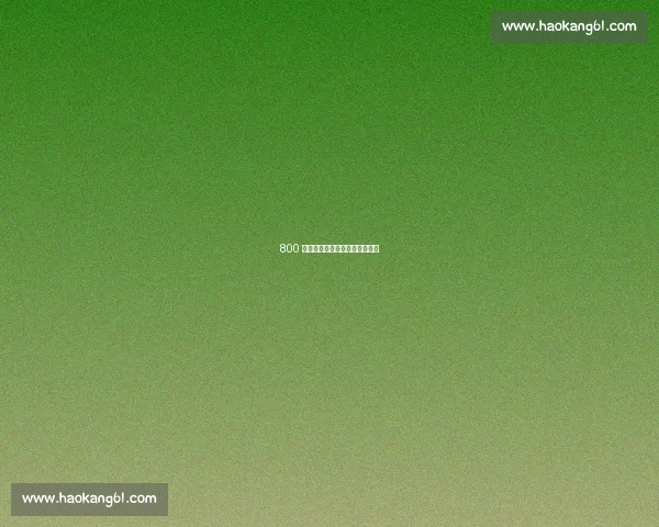 800 少年逐浪赛场：航模里的海洋梦